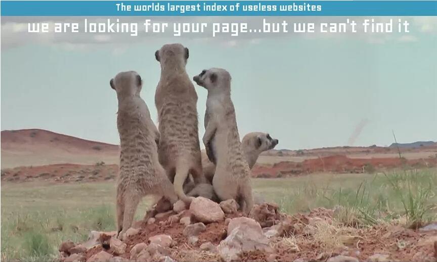 The useless web indexWOӋ404愓`