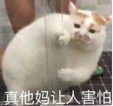 VݾWOӋ
